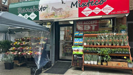 Ranchito Mixteco, The Bronx