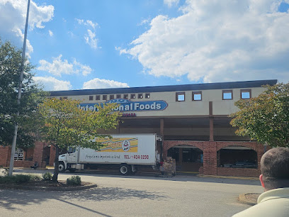 Villa Latina plaza