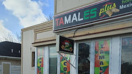 Tamales plus, Holland