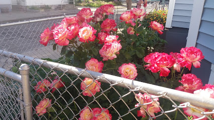Los Minas Market, Rhode Island
